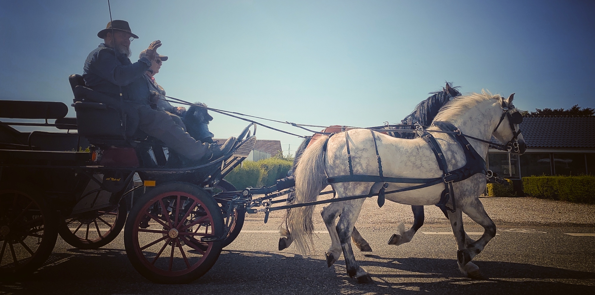 Informaci&oacute;n Legal y Recomendaciones para Viajar a Caballo