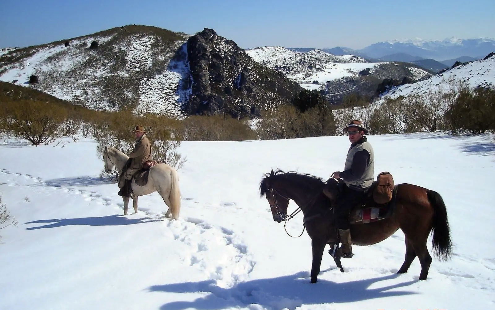 Red nacional de Anfitriones 