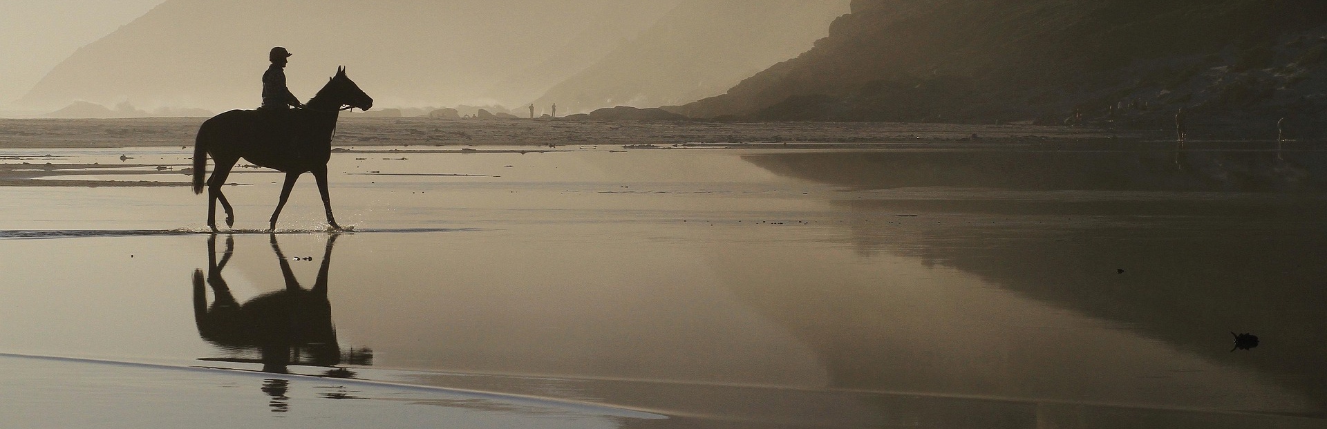 Datos&nbsp;que vas a necesitar para asegurar tu caballo&nbsp;