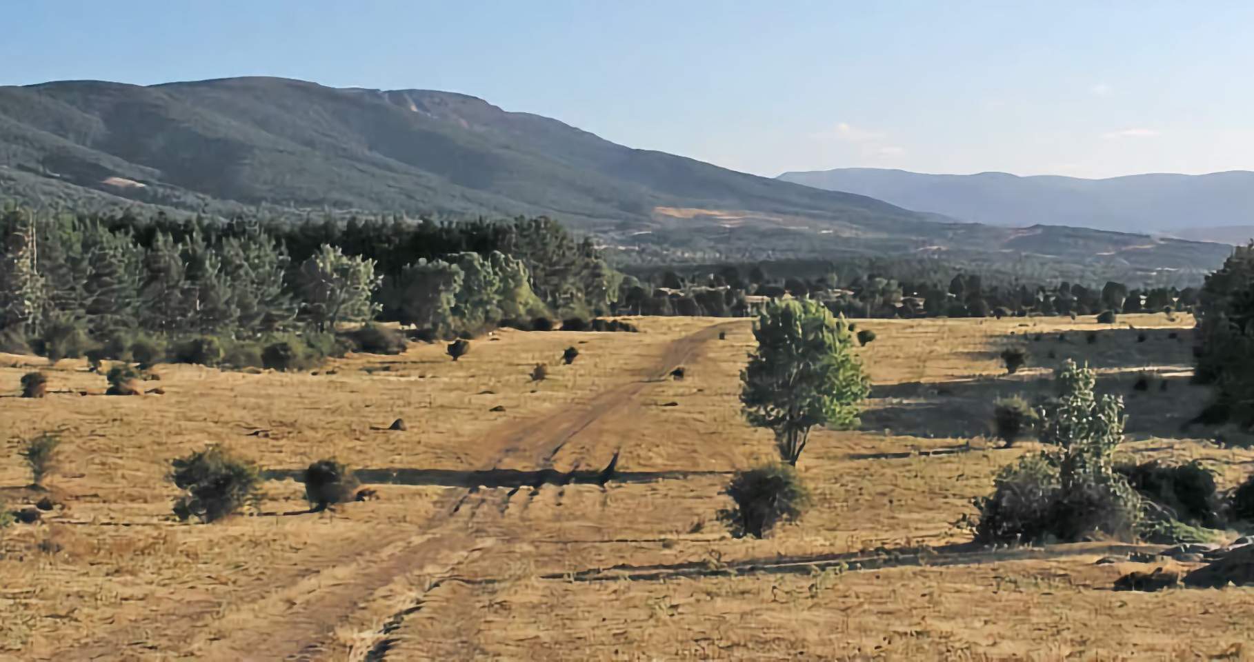 Grandes Redes de Caminos