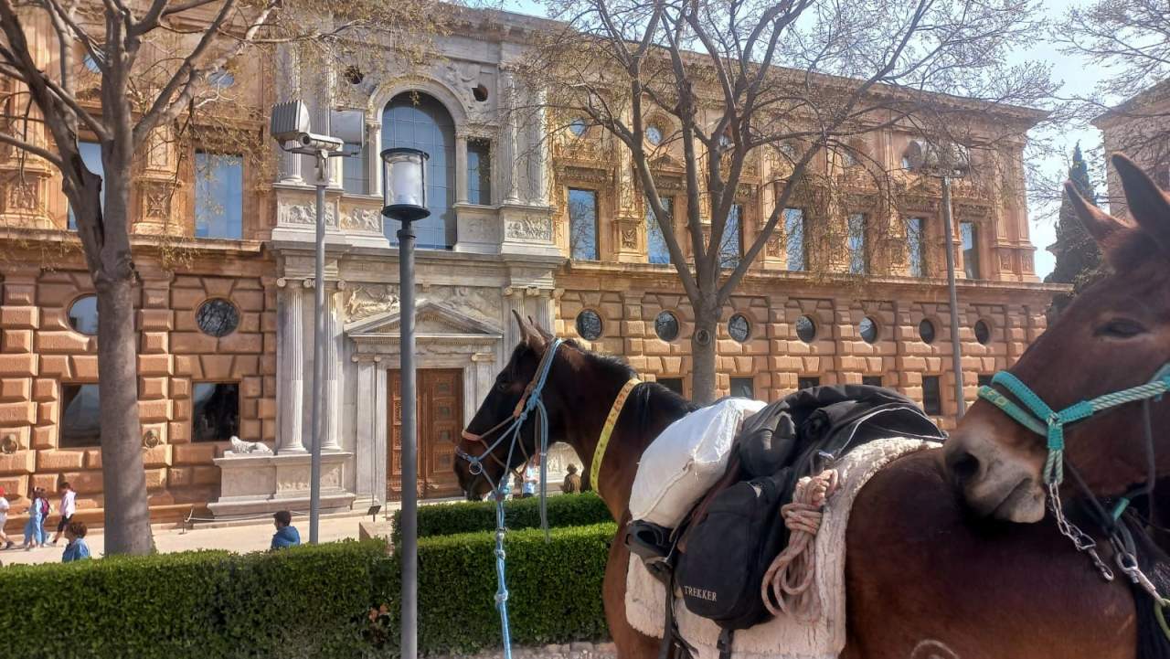 Equipamiento y seguro