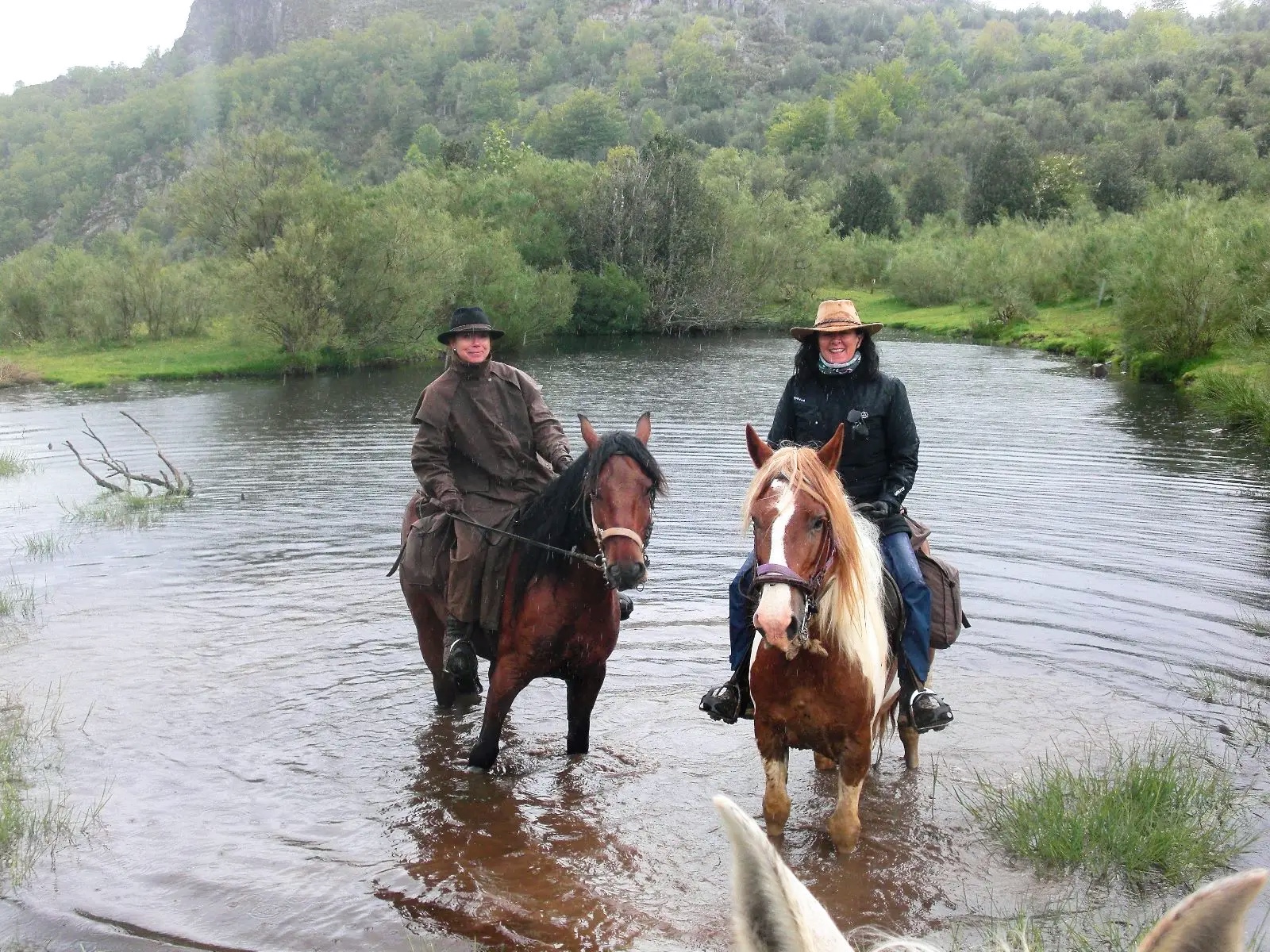 Jinetes particulares