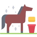 Equipamiento Hípico