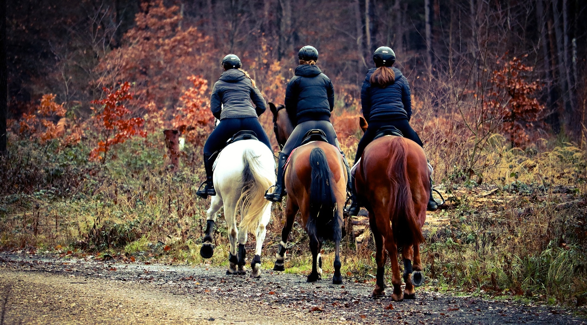 Punto de encuentro de la equitaci&oacute;n no competitiva