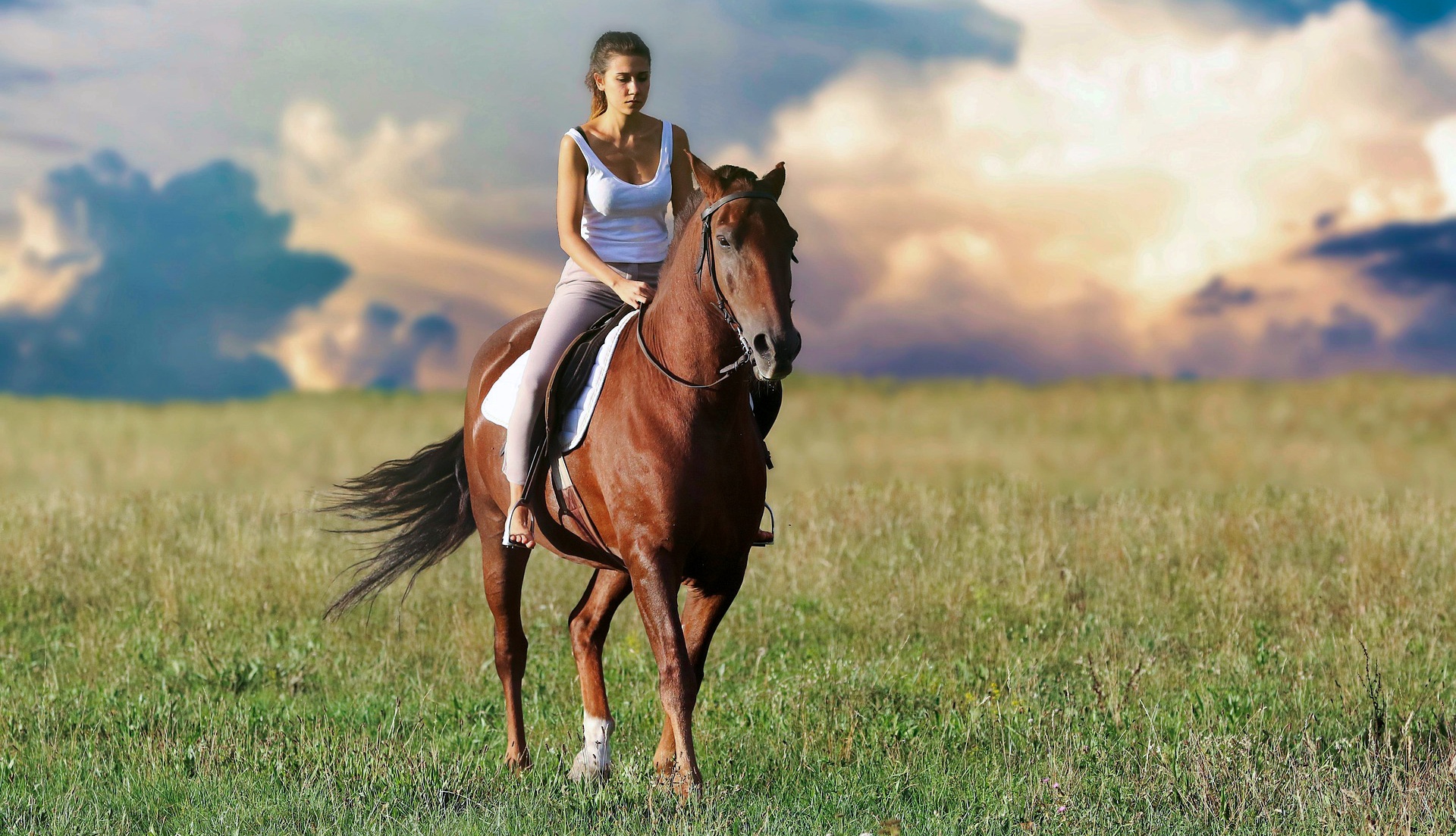 Fisioterapia del jinete