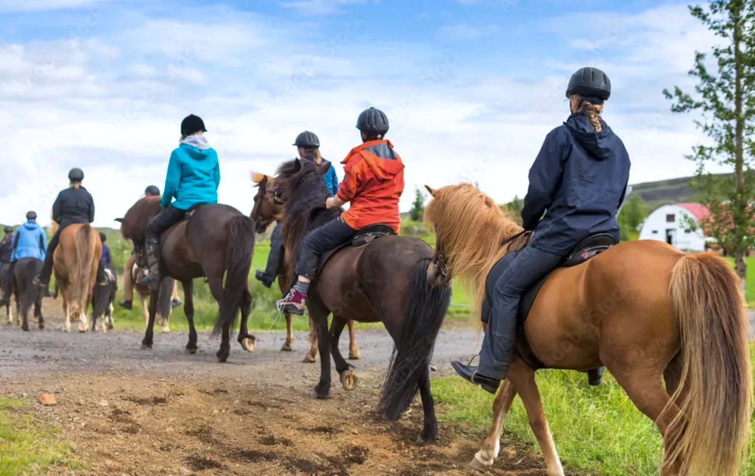 Profesionales Turismo Ecuestre&nbsp;