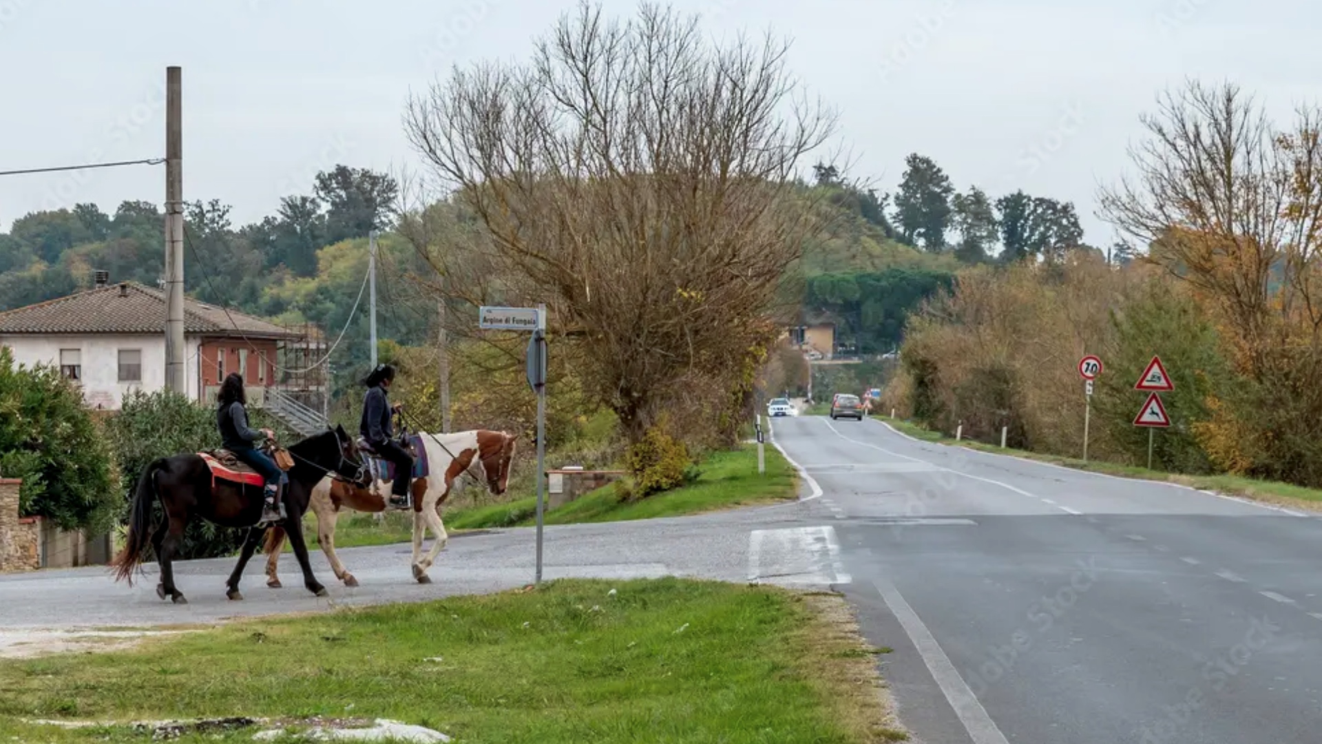 Legislaci&oacute;n General de Tr&aacute;fico y Circulaci&oacute;n