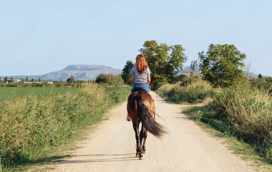 Seg&uacute;n su Titularidad y Gesti&oacute;n