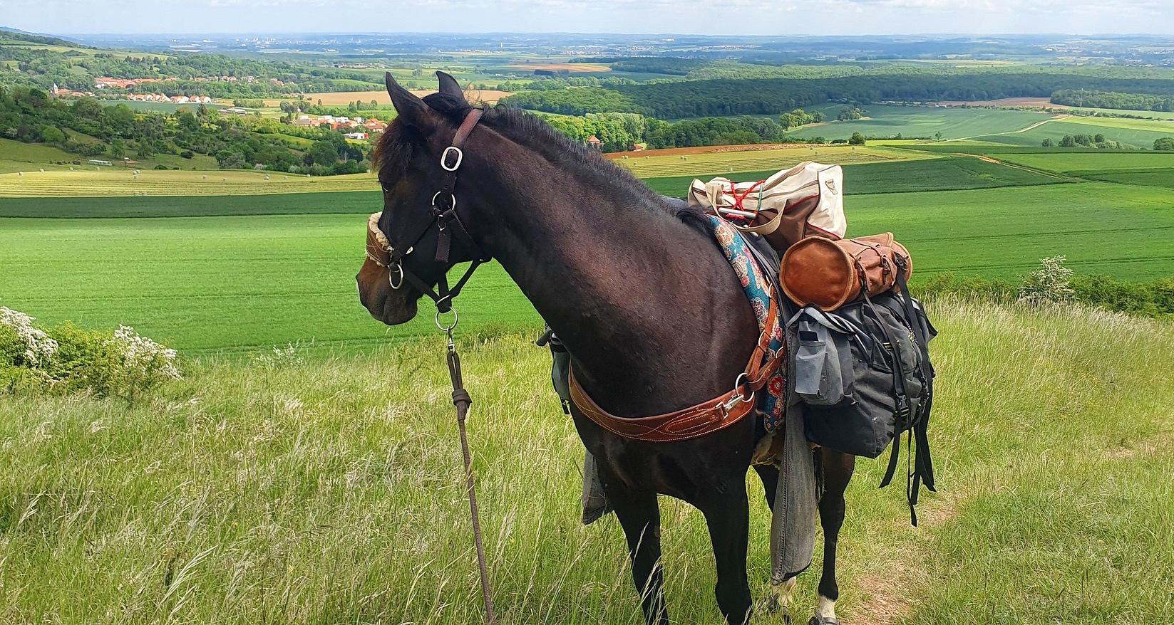 Resumen de la Acampada Libre a Nivel Auton&oacute;mico