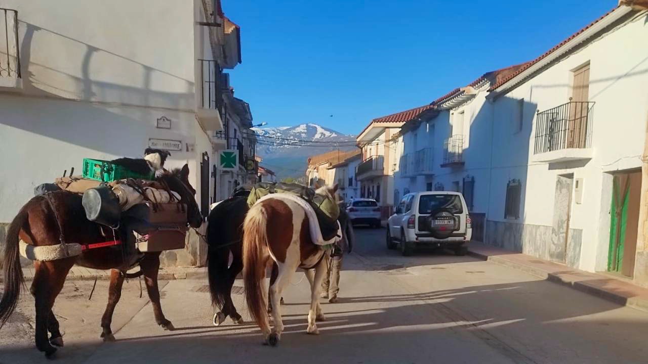 Recomendaciones Generales