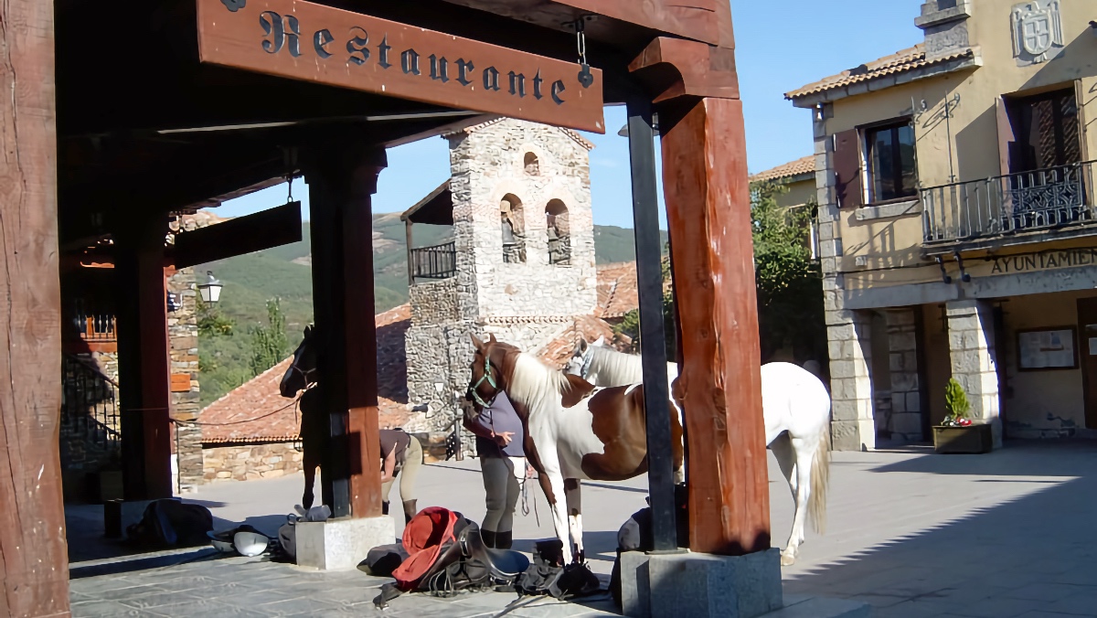 Nos faltas t&uacute;&nbsp;