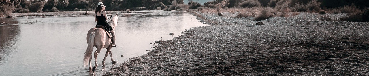 Qu&eacute; te ofrece asesja