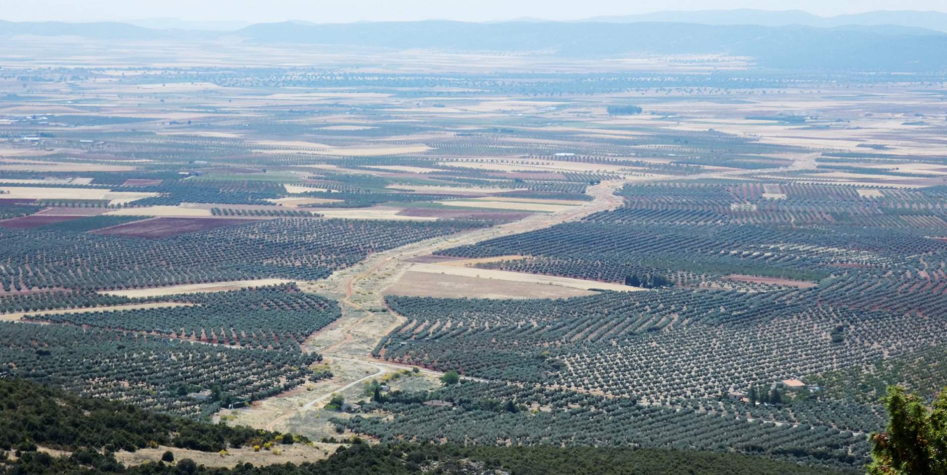 V&iacute;as pecuarias, 150.000 kil&oacute;metros para viajar a caballo por Espa&ntilde;a