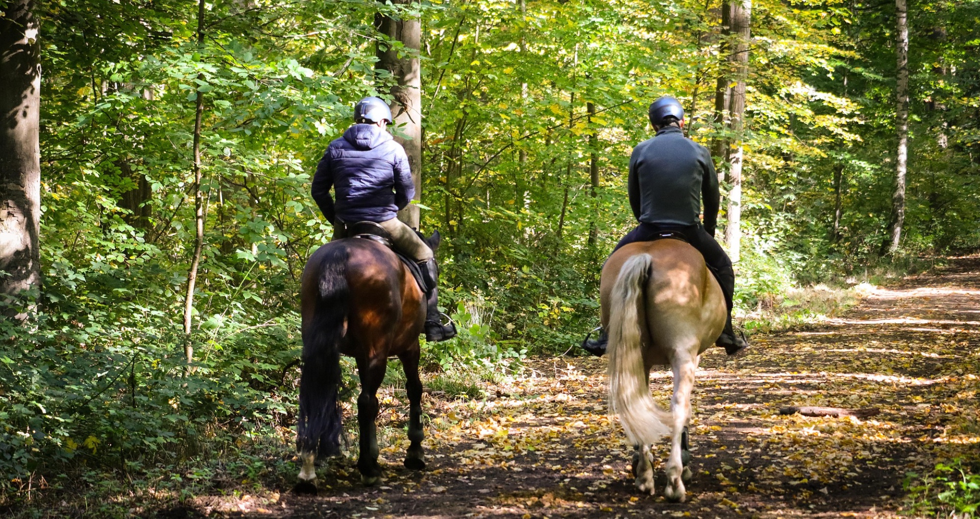 &Uacute;nete a ASESJA