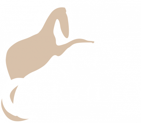 Finca Cerrillo
