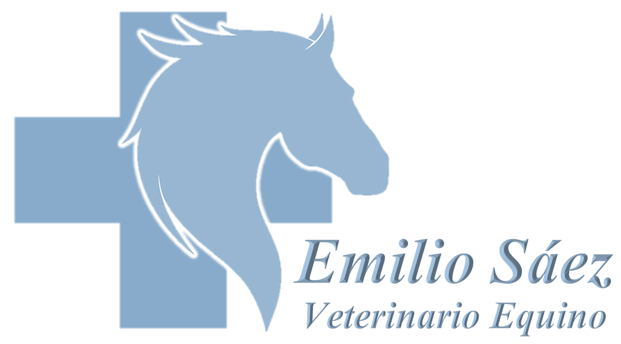 Emilio Sáez Rodríguez