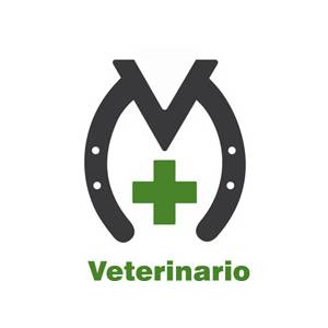 Pablo J. Molina Ruiz