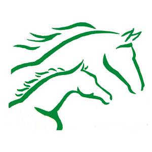 María José Povedano Ruiz