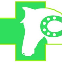 Carolina Prieto Lumbreras – CavallSÁ Clínica equina