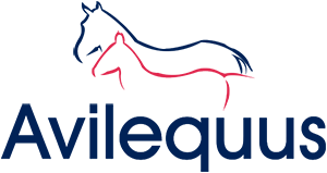 Ignacio Cháves Díaz - Avilequus