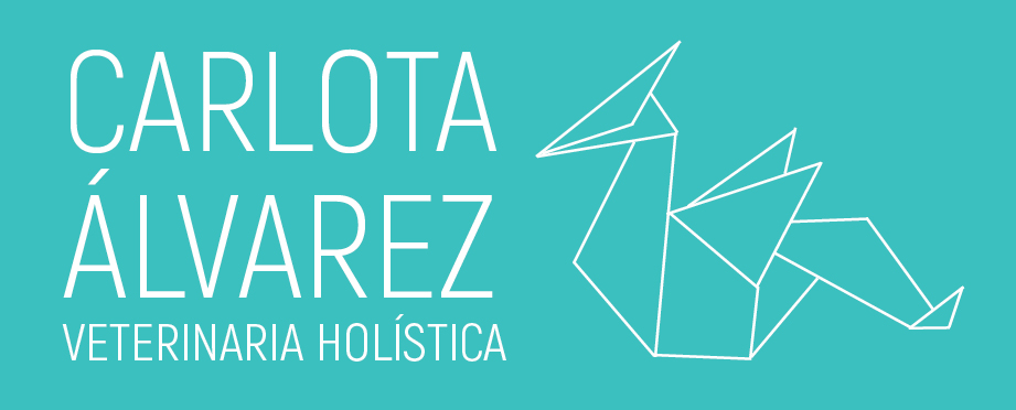 Carlota Álvarez González