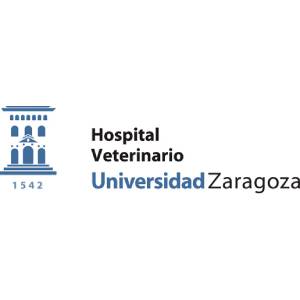 Antonio Romero Lasheras - Hospital Veterinario Universidad de Zaragoza