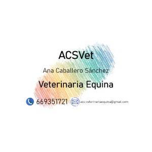 Ana Caballero Sánchez – ACSVet