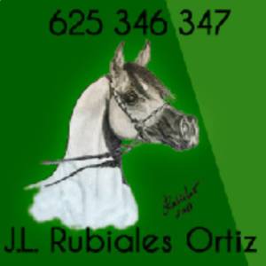 Jose Luis Rubiales Ortiz