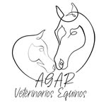 Agar veterinarios equinos