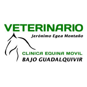 Jerónimo Egea Montaño – Clínica Equina Móvil Bajo Guadalquivir