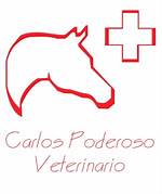 Carlos Poderoso Martinez