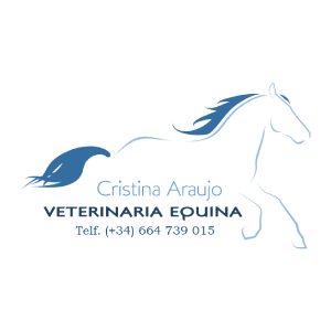 Cristina Carlota Araujo Gómez