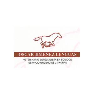 Óscar Jiménez Lenguas