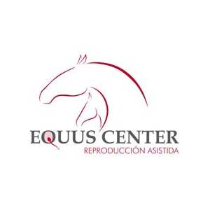 Alfonso Fernández de Peñaranda – Equus Center