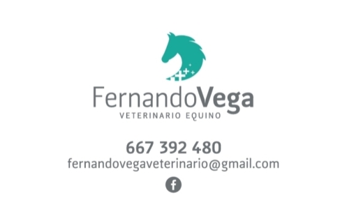 Fernando Vega Castillo