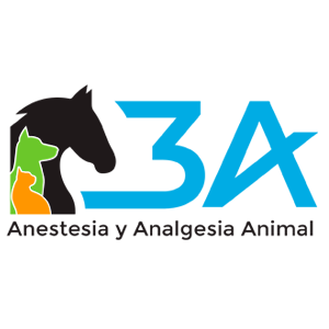 Diego Rodrigo Mocholi