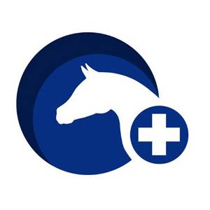 José Lopes-da-Silva