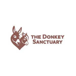 Jesús Buil García – The Donkey Sanctuary