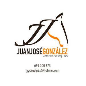 Juan José González López