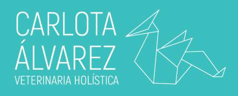 Carlota Álvarez González