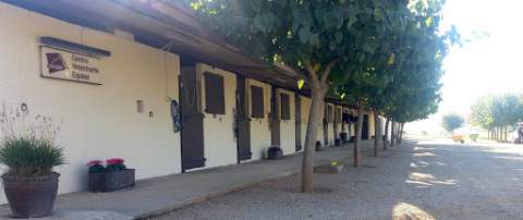 Eguisof centro veterinario equino
