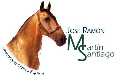 Jose Ramón Martin Santiago