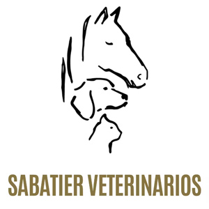 Sabatier veterinarios