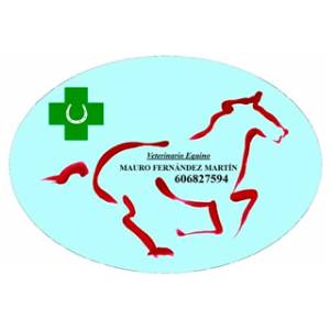 Mauro Fernández Martín