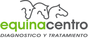 Equinacentro - Sylvana Belenguer Di Stefano