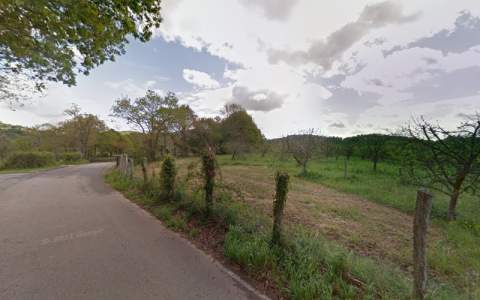 Clínica Equina Maeza