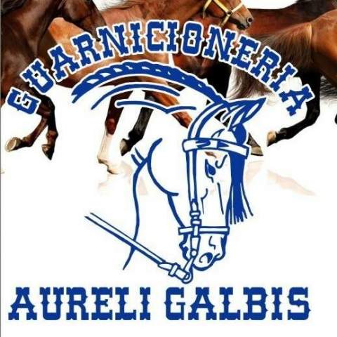 Guarnicioneria Aureli Galbis