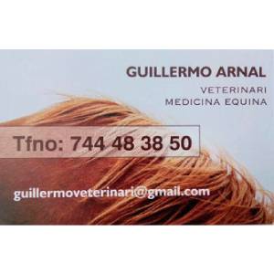 Guillermo Arnal Arnal