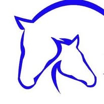 Equiclinic Veterinarios