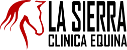 Jorge Sánchez Sánchez – Clínica Equina La Sierra